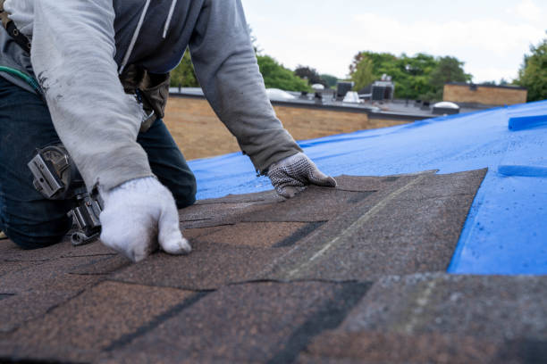 Best Roof Repair Services  in Lowell, MI