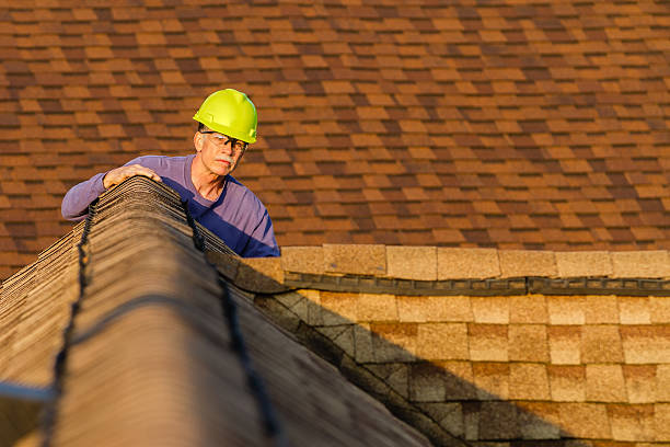Best Local Roofing Companies  in Lowell, MI