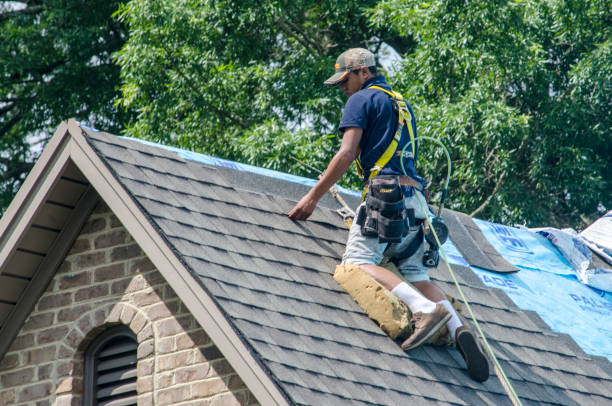 Best Metal Roofing Contractor  in Lowell, MI